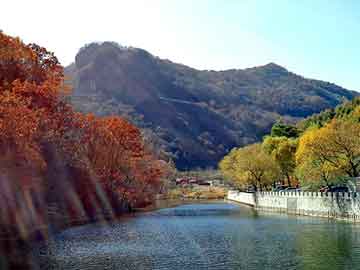 澳门天天免费精准大全，大民国